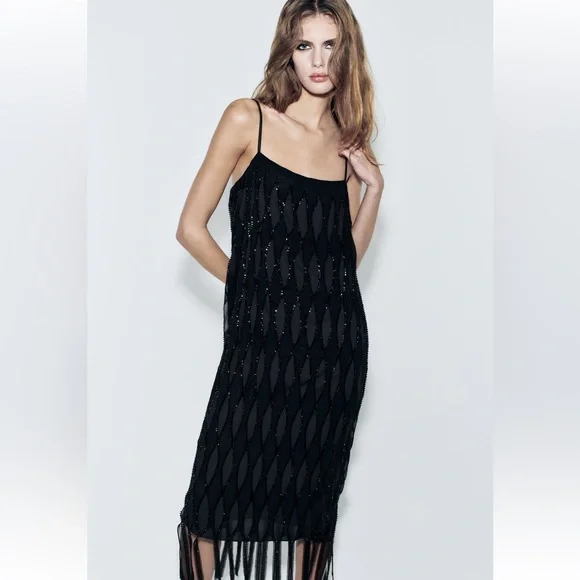 NWT Zara Sequin Beaded Fringe Dress - Picture 6 of 16